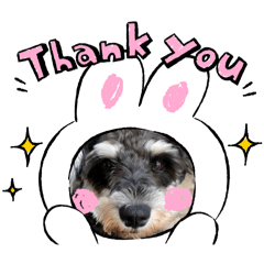 yuri's_20240527173307