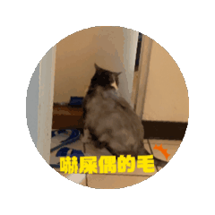3隻貓貓·社畜日常·梗圖·動動動