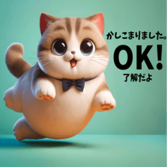KJO English-Japanese Biligual Cat