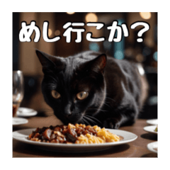 AI黒猫 実写版 関西弁