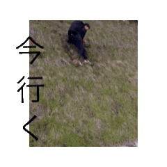 omg_20240528224501