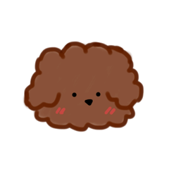 ToyPoodle(apricot color)-Daily life Pt.1