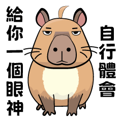 Tired Capybara Memes Quotes-Part 1