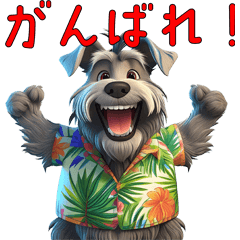 "Schnauzer dogs wearing aloha shirts"