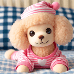 Cute Toy Poodle 2024-2