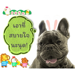 Buk_Stitch_20240528143100