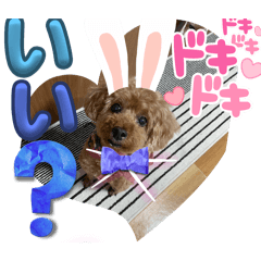 Chisa_20240528153447