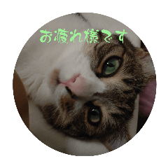 yh_20240528194232