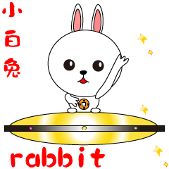Cute Little White Rabbit 22