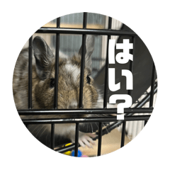 ekubo-n_20240528203814
