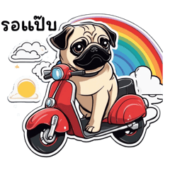 Pug's Story