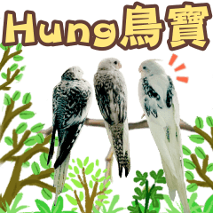 Hung鳥寶_2024