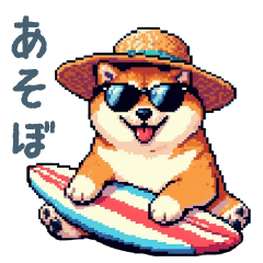 surfing shiba dog