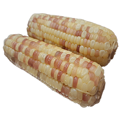 食物系列 : 一些玉米 #21