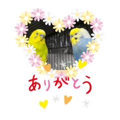 Nanamin_20240528210851