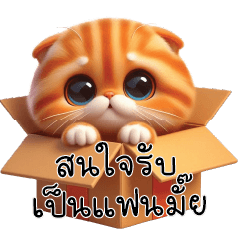 Orange Cat Lonely V2