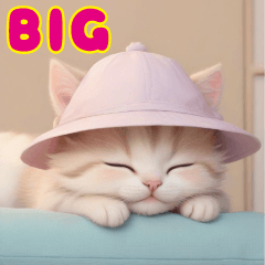 帽子が可愛いネコたちの 思いやりBIG