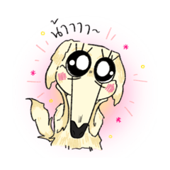 baborzazoi