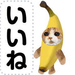 バナナの猫と楽しい仲間たち