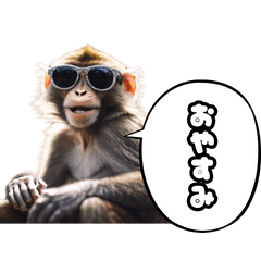 Monkey Senpai's daily conversation