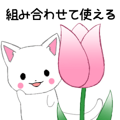 Ruki-cat-arrange-B