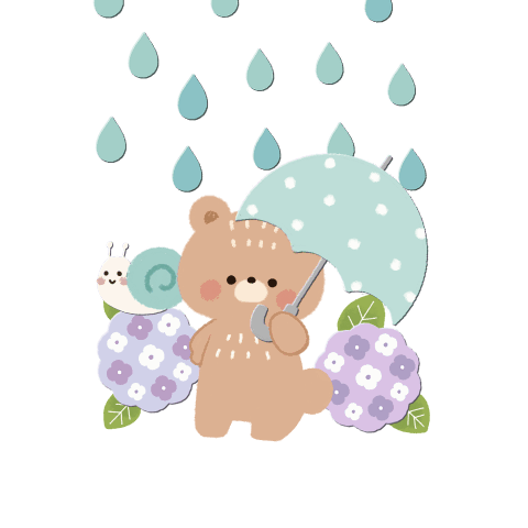 Gentle bear  Rainy season to summer