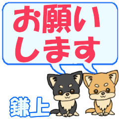 Kamagami's letters Chihuahua2