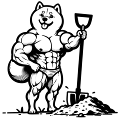 Muscular Shiba Inu Gardening5