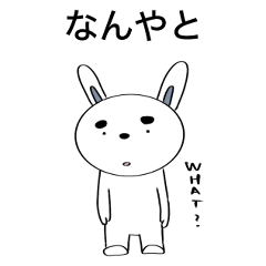 White rabbit  -