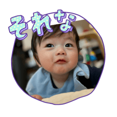 Shio6_20240529220636