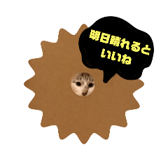 ye_2024052921353