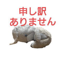 tsubaki_20240530082800