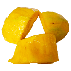 食物系列 : 一些芒果 #11
