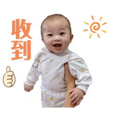 南部小鯊魚