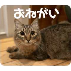 Treasure_20240530171305