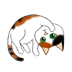 Calico cat everyday life