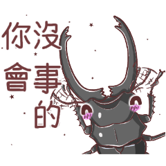 Beetle Mania! - Chinese Set