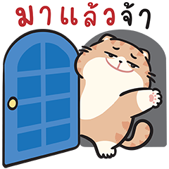 แมวโชกุน(ดุ๊กดิ๊กมีเสียง) : มาแล้วจ้า