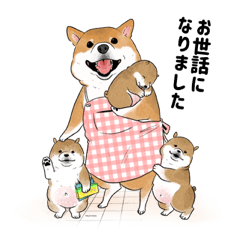柴犬の日常スタンプ　Shibainu life stamp