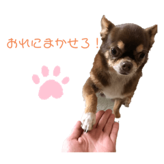 saki1028_20240530200111