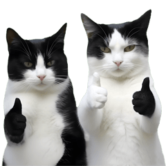 Funny black & white cat ver. 01