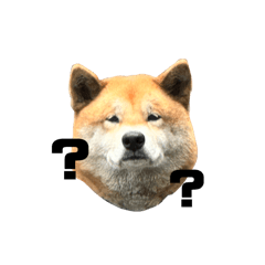 Coffee87Dog