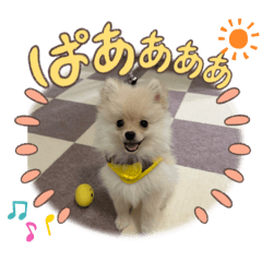 nora_20240530233548