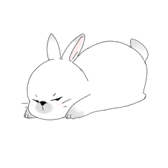 Bunny on Tantrum