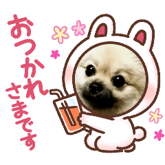 michiko_20240531113612