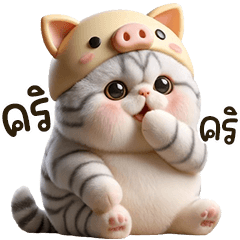 Chubby Baby Cat in PIG