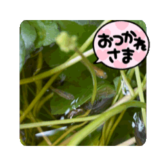 YOKKO_20240531180043