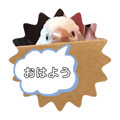 Nanahachi_20240531203402