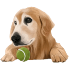 Ryandoggy