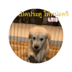 Nu plame_20240531204717